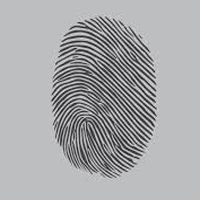 334491-576.jpg