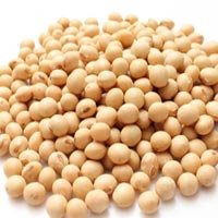 Soy Isoflavone