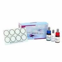 Widal Test Kit