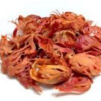 Mace