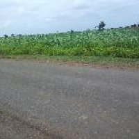 Agricultural Properties