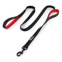 PET Leash