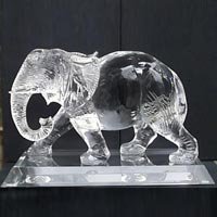 339228-764.jpg