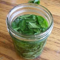 Peppermint Extract