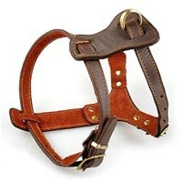 Leather Dog Harness