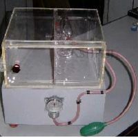 Histamine Chamber