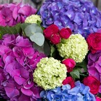 Seasonal Flower