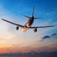 Domestic Travel Agency