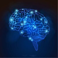 Psychometric Testing Services