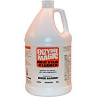 Wall Cleaner