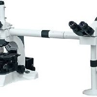 Multi Head Microscope