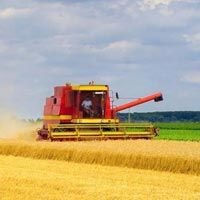 Grain Harvesting