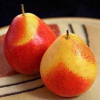 342242-1.jpg