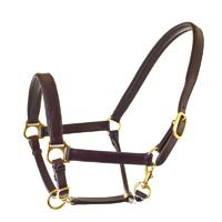 Head Collar