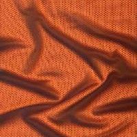 Polyester Warp Knit Fabric