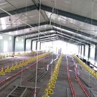 Poultry Sheds