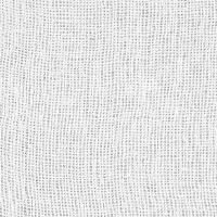 Lenin Fabric