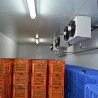 Fruit Ripening Chamber