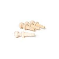 Wooden Pegs