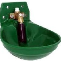 Water Bowl