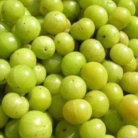 Amla Seed