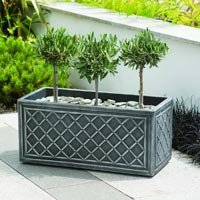 Trough Planter