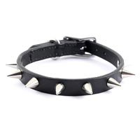 Spiked Collar