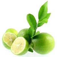 Lemon Leaf