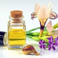 Orris Oil