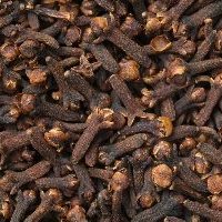 Freeze Dried Spices
