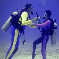 350394-74.jpg