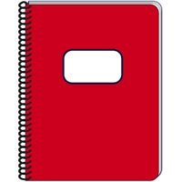 Cartoon Notebook