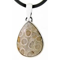 Fossil Coral Pendant