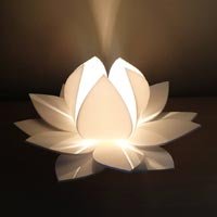 Flower Lamps