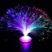 Fiber Optic Lamps
