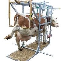 Hoof Trimmer