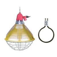 Electric Brooder