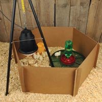 Chick Brooder