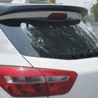 Rear Spoiler