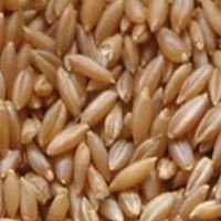 Bamboo Rice