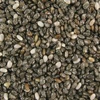 Organic Chia Seeds
