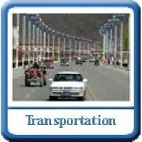 Transportation Management Services