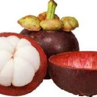 Mangosteen Powder