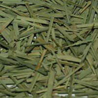 Lemongrass Leaves