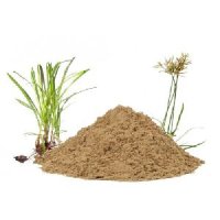 Nagarmotha Powder