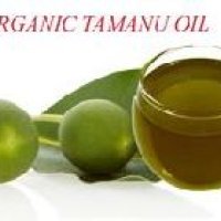 Tamanu Oil