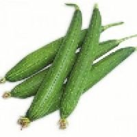 Sponge Gourd