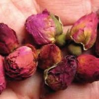 Dried Rose