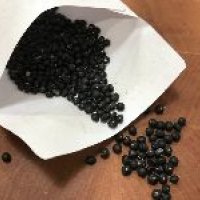 Asparagus Seeds