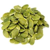 Hybrid Pumpkin Seeds